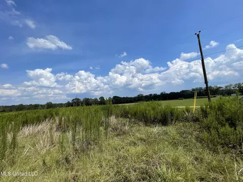 0 Abigail Pointe, Picayune, MS 39466 photo 9