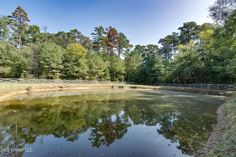 2258 Legends Dr, Nesbit, MS 38651 photo 50