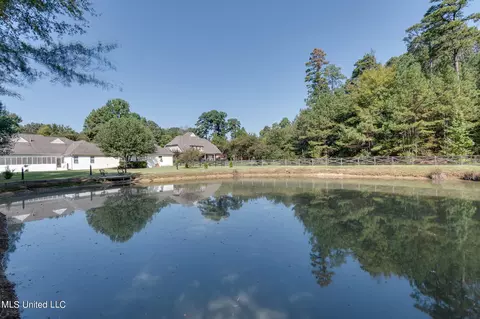 2258 Legends Dr, Nesbit, MS 38651 photo 48