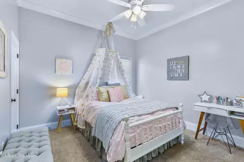228 Hickory Gln, Madison, MS 39110 photo 42