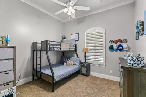 228 Hickory Gln, Madison, MS 39110 photo 46