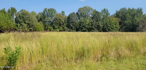 Golden Way, Coldwater, MS 38618