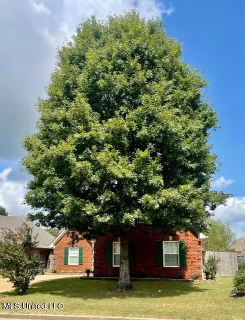 948 Classic Cv, Hernando, MS 38632 photo 7