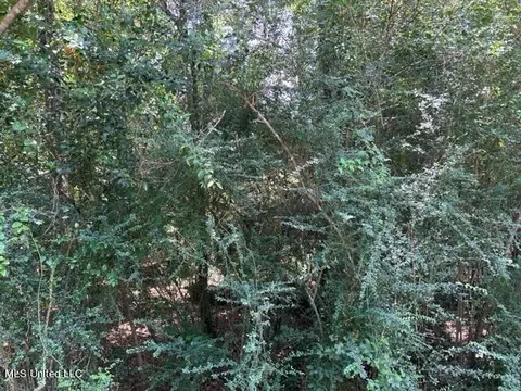 NE Perkins Street, Brooklyn, MS 39425