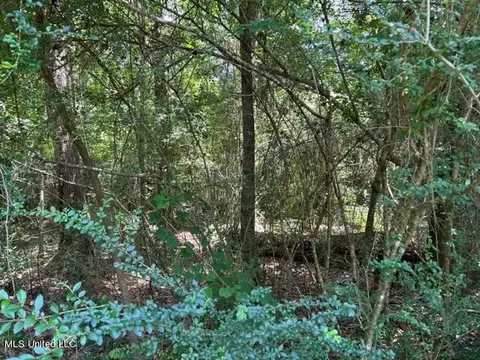 Perkins Street, Brooklyn, MS 39425 photo 2