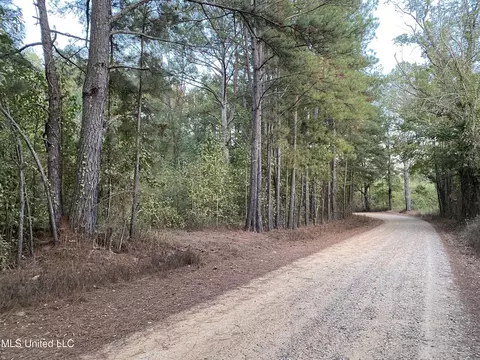 Kerr Road, Carthage, MS 39051