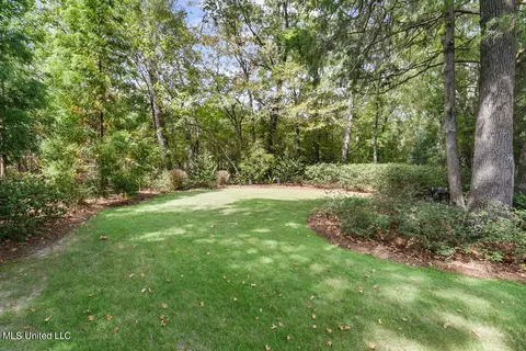 102 Oakridge Trl, Flowood, MS 39232 photo 58