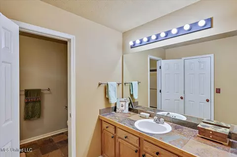 343 Audubon Cir, Brandon, MS 39047 photo 19