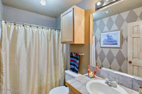 343 Audubon Cir, Brandon, MS 39047 photo 23