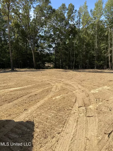 4 Moore Rd, Coldwater, MS 38618 photo 2