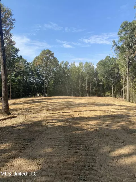 4 Moore Rd, Coldwater, MS 38618 photo 4