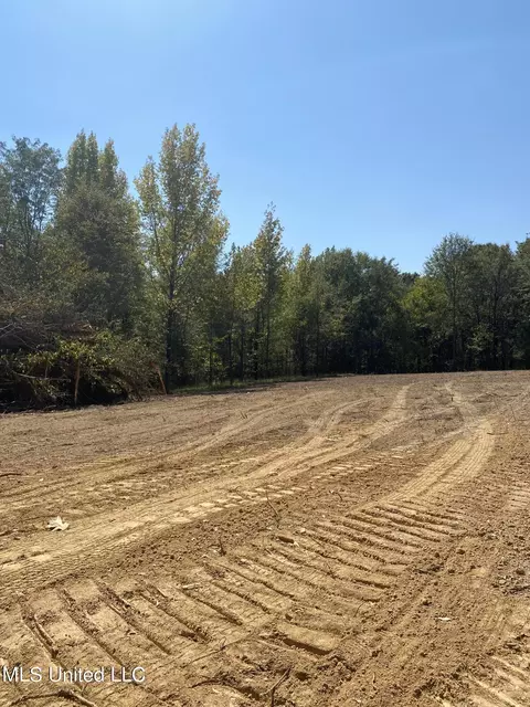 4 Moore Rd, Coldwater, MS 38618 photo 5