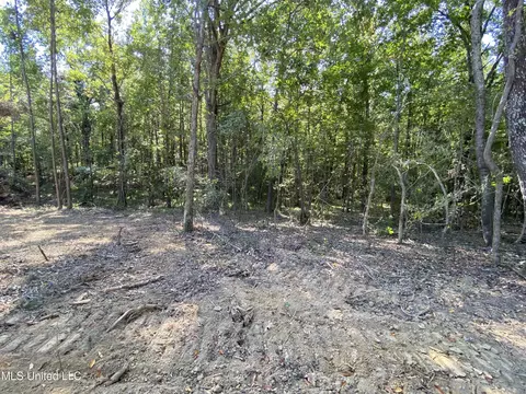 4 Moore Rd, Coldwater, MS 38618 photo 6