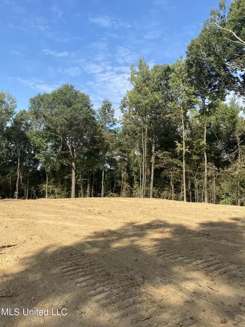 4 Moore Rd, Coldwater, MS 38618 photo 3