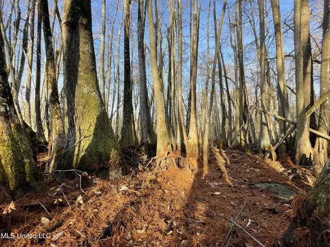 00 Quofaloma Rd, Tchula, MS 39169