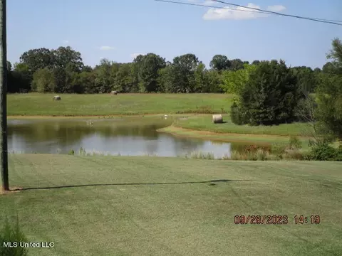 1523 Union Rd, Sardis, MS 38666 photo 28