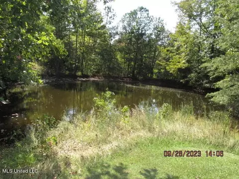 1523 Union Rd, Sardis, MS 38666 photo 26