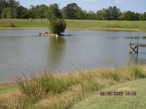 1523 Union Rd, Sardis, MS 38666 photo 23