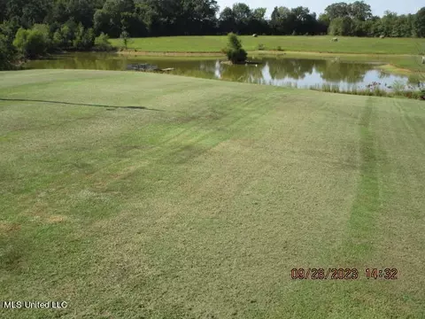 1523 Union Rd, Sardis, MS 38666 photo 39