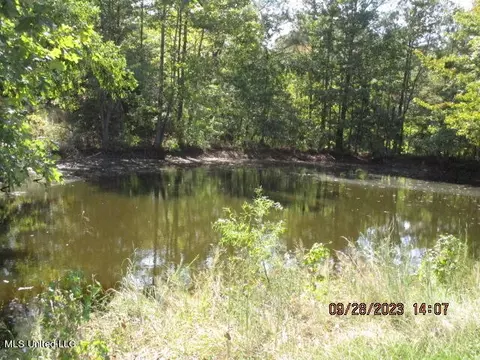 1523 Union Rd, Sardis, MS 38666 photo 27