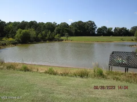 1523 Union Rd, Sardis, MS 38666 photo 19
