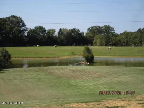 1523 Union Rd, Sardis, MS 38666 photo 3