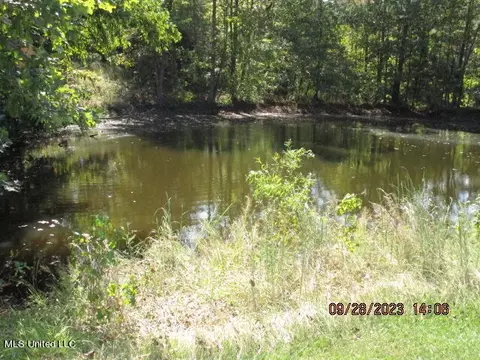 1523 Union Rd, Sardis, MS 38666 photo 25