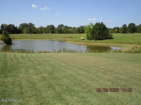 1523 Union Rd, Sardis, MS 38666 photo 16
