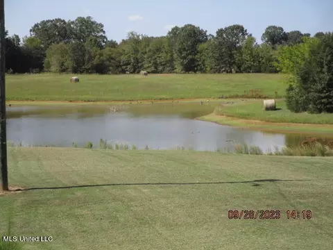 1523 Union Rd, Sardis, MS 38666 photo 30