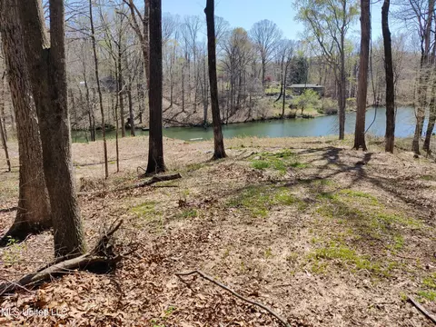 11091 Horseshoe Bnd, Hernando, MS 38632