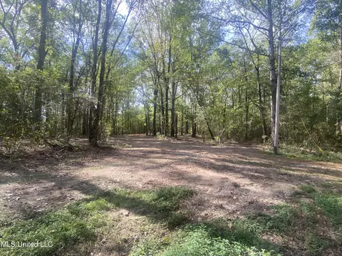 133 Hunter Rd, Florence, MS 39073 photo 3