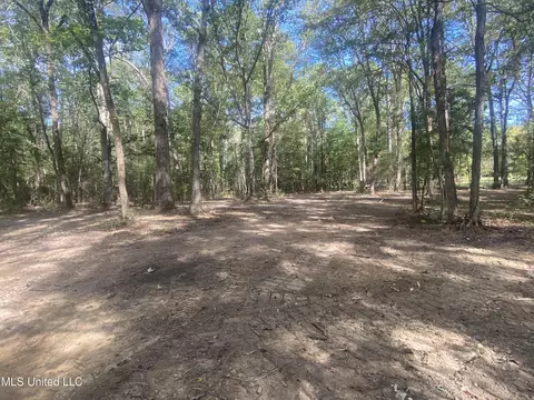 133 Hunter Rd, Florence, MS 39073 photo 4