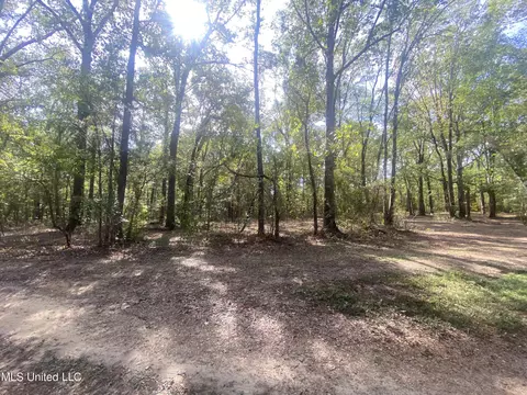 133 Hunter Rd, Florence, MS 39073 photo 5