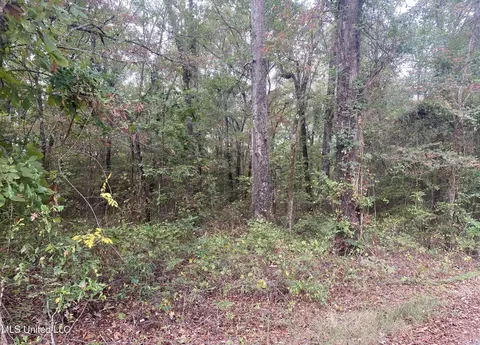 133 Hunter Rd, Florence, MS 39073 photo 6