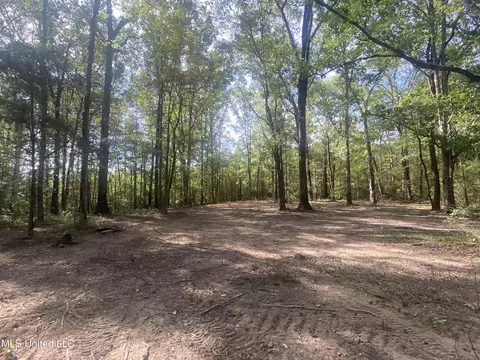 133 Hunter Rd, Florence, MS 39073