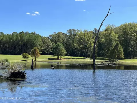 Mountain Creek Farm Rd, Florence, MS 39073