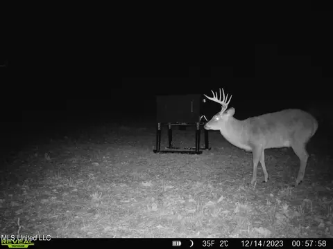 0001 Hwy 17, Pickens, MS 39146
