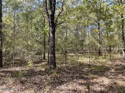 0002 Hwy 17, Pickens, MS 39146