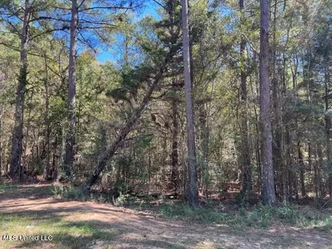 Porter Ln, Florence, MS 39073 photo 11