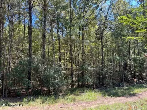 Porter Ln, Florence, MS 39073 photo 10