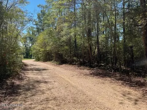 Porter Ln, Florence, MS 39073 photo 8