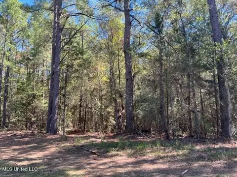 Porter Ln, Florence, MS 39073 photo 12