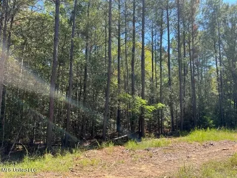 Porter Ln, Florence, MS 39073 photo 3