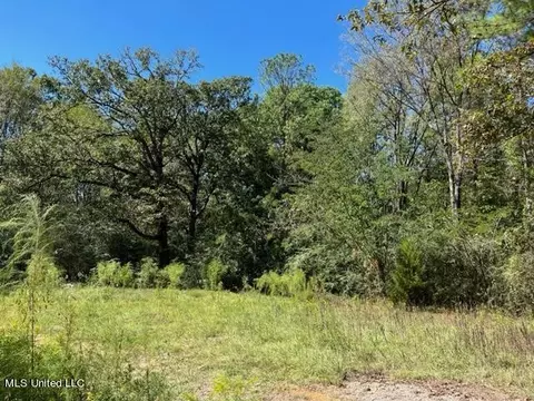 Porter Ln, Florence, MS 39073 photo 6