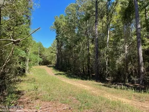 Porter Ln, Florence, MS 39073 photo 5