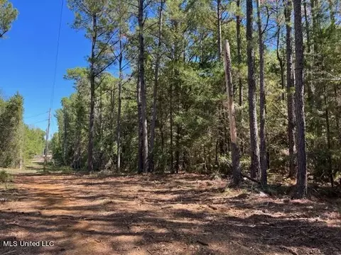 Porter Ln, Florence, MS 39073 photo 2