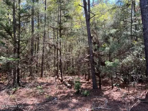 Porter Ln, Florence, MS 39073 photo 13