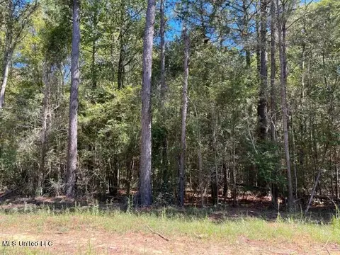 Porter Ln, Florence, MS 39073 photo 4