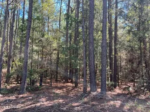 Porter Ln, Florence, MS 39073