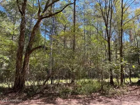 Porter Ln, Florence, MS 39073 photo 7